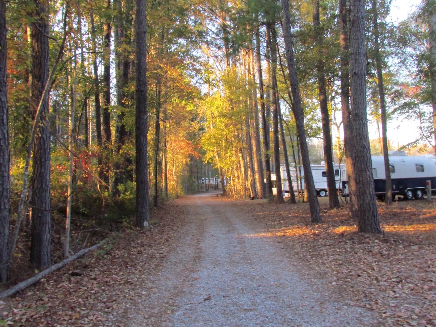 A gravel path through a forest with autumn foliage and a parked camper trailer.